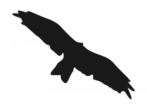 Kite-silhouette.png