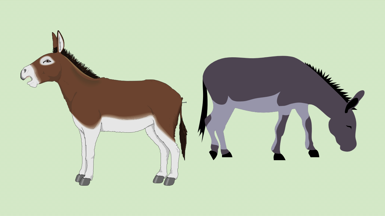 burros