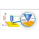 Montrer l'image Microscope à effet tunnel : L'effet tunnel permet aux électrons, « quantiques », de franchir l'espace (inférieur au nm) séparant une pointe très fine de la surface d'un échantillon. Ils ne le pourraient pas s'ils étaient « classiques ».  
