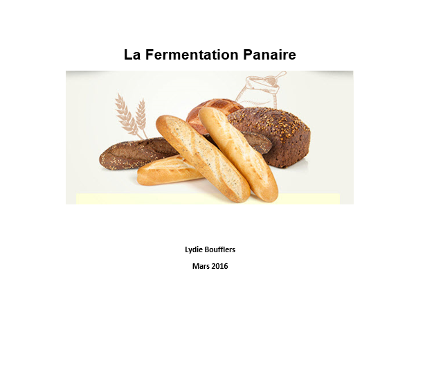 fermentation panaire