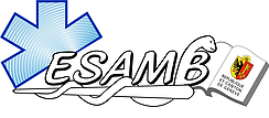 Logo de l'école ES AMB à Genève